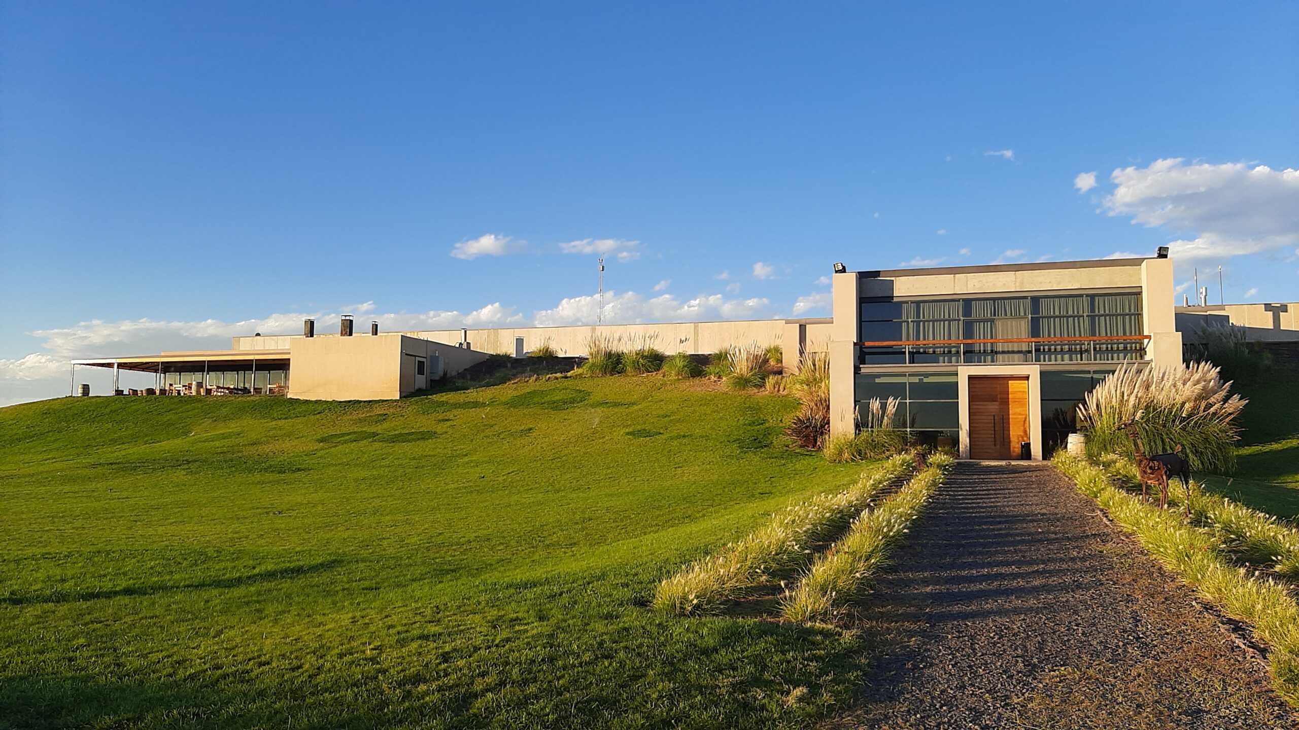 Malma, una bodega integrada al turismo en transición a la frescura y la sustentabilidad