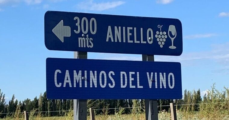Bodega Aniello, impronta italiana con identidad patagónica