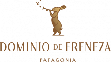 Dominio de Freneza, el norte de la Pinot Noir en el Sur de la Patagonia