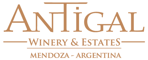 Antigal Winery & Estates recibió el galardón de Wine Enthusiast como Mejor Bodega del Nuevo Mundo 2023