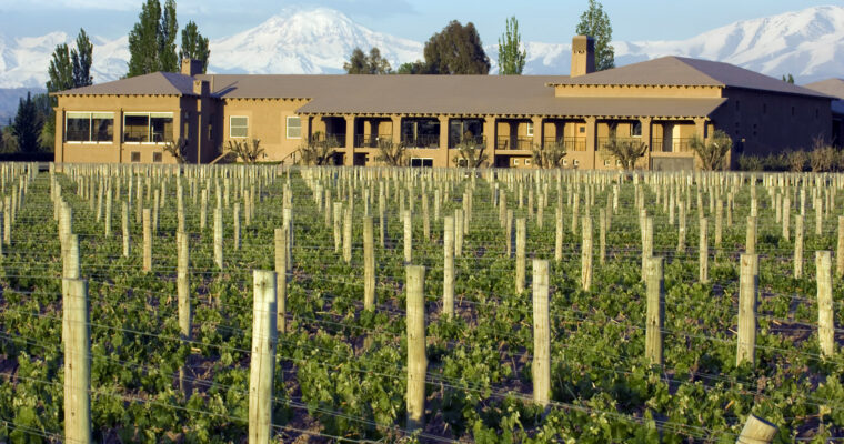 Bodega Vistalba abre la temporada estival con una especial propuesta para disfrutar de su Wine Bar y de entretenidas experiencias enoturísticas