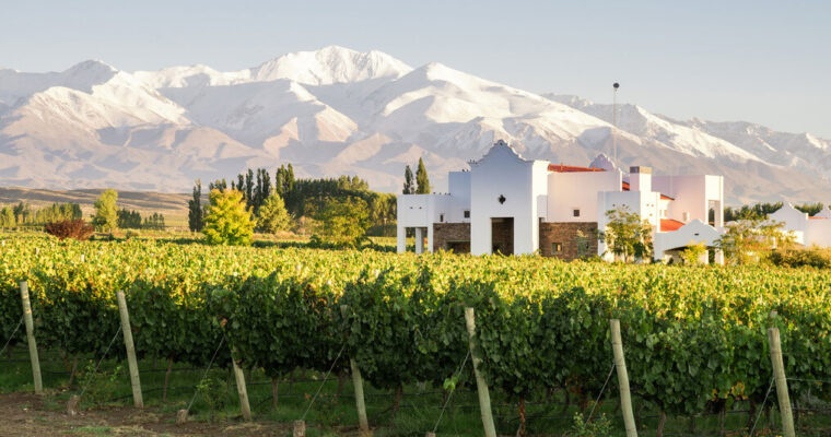 FINCA AMBROSIA, EL ORIGEN DE GRANDES VINOS