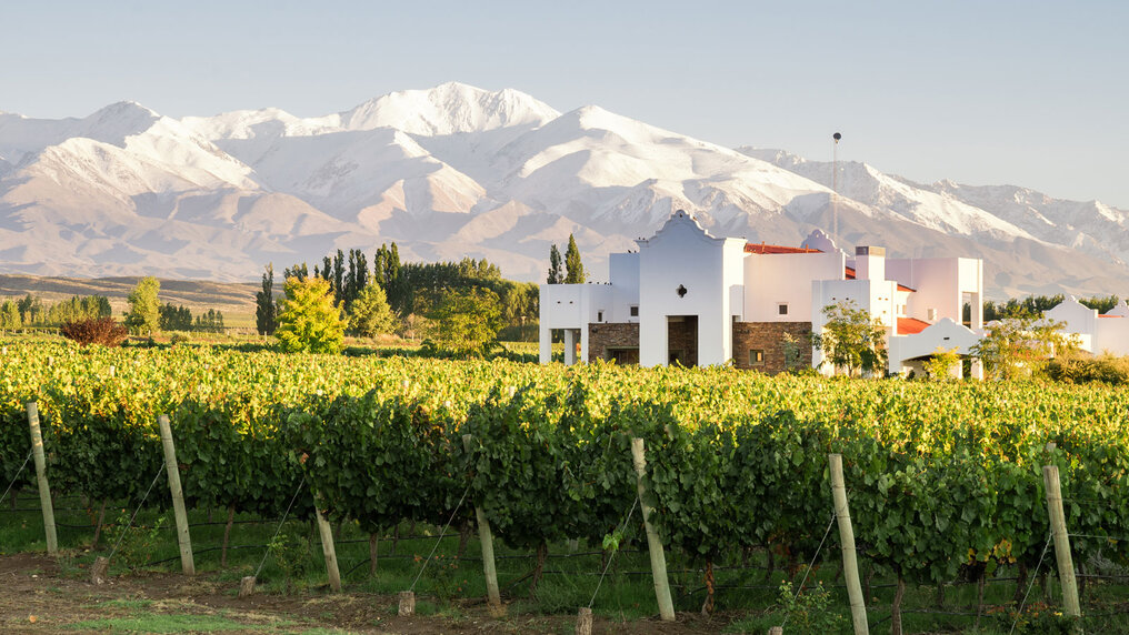 FINCA AMBROSIA, EL ORIGEN DE GRANDES VINOS