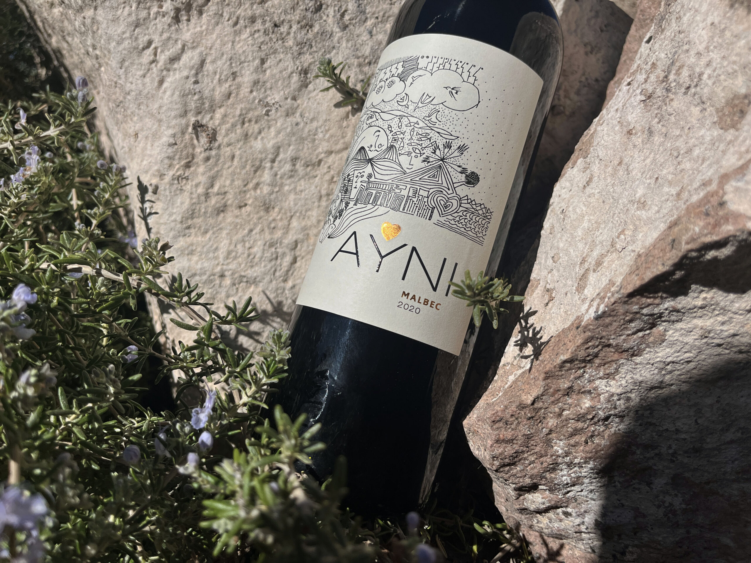Día de la Chakana: celebrar la tierra, el vino y el camino