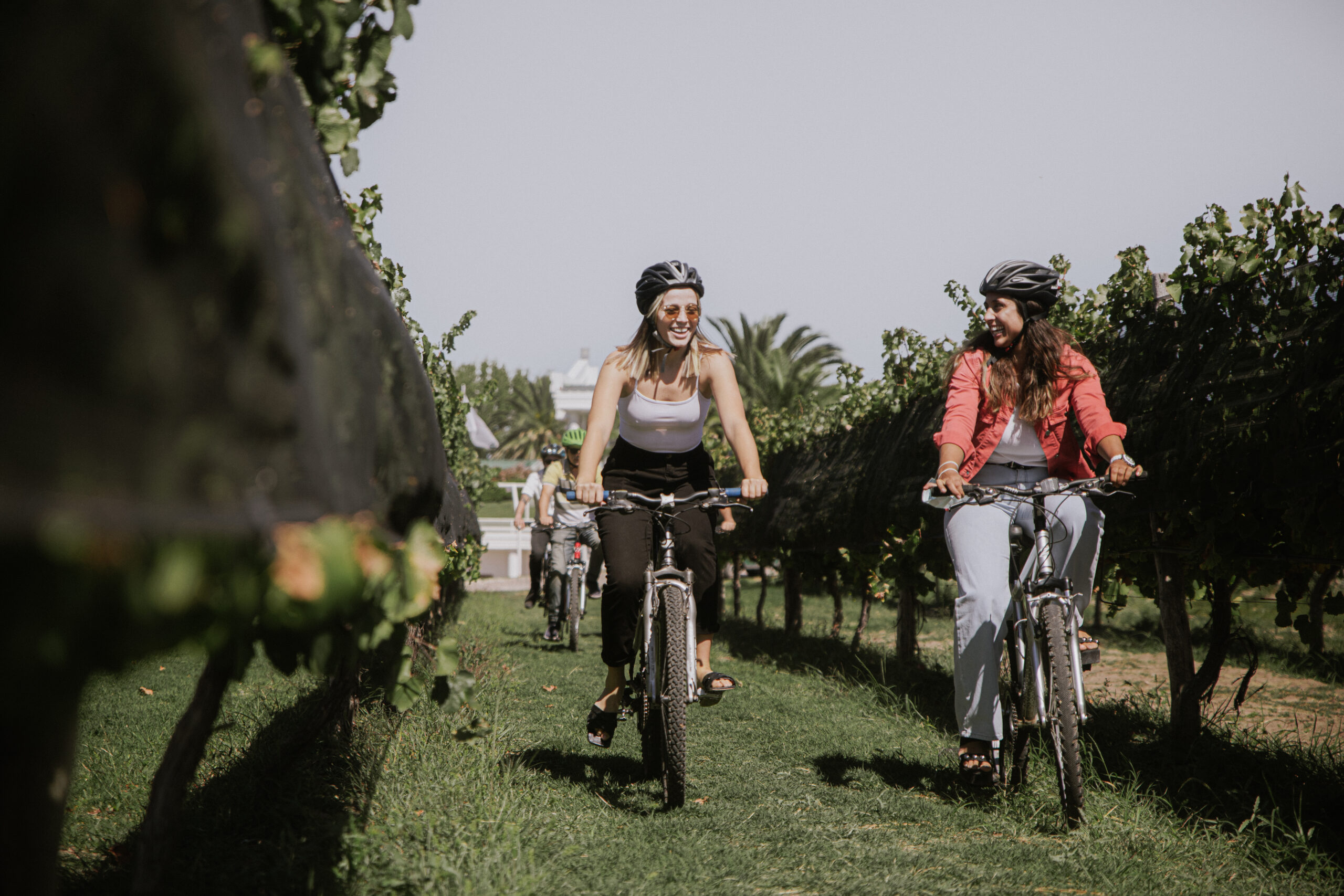 Bodegas Bianchi recibió por 7ma vez el Tripadvisor Travellers´ Choice Awards