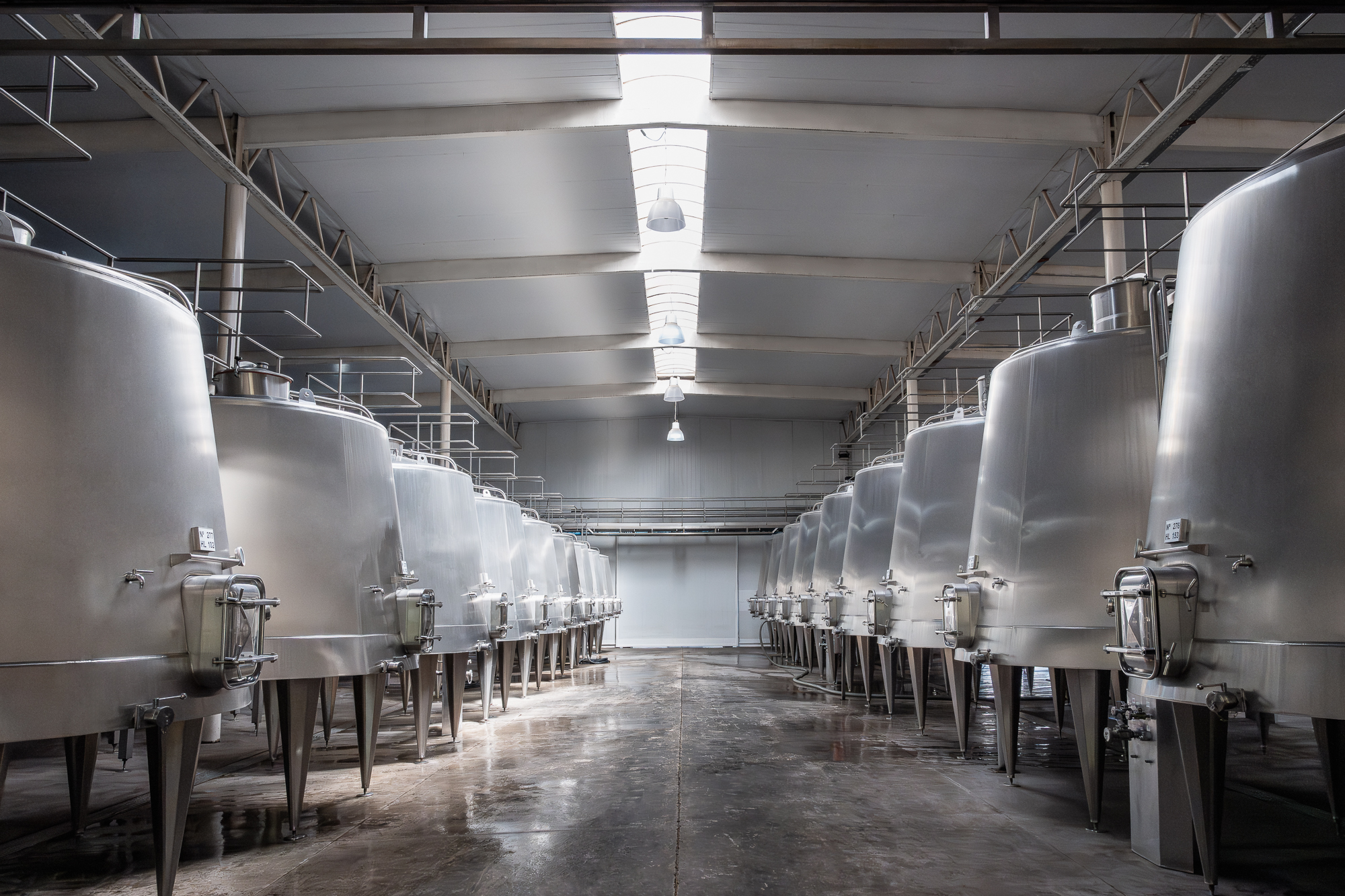 Trivento entre las mejores 50 bodegas del mundo, según Forbes