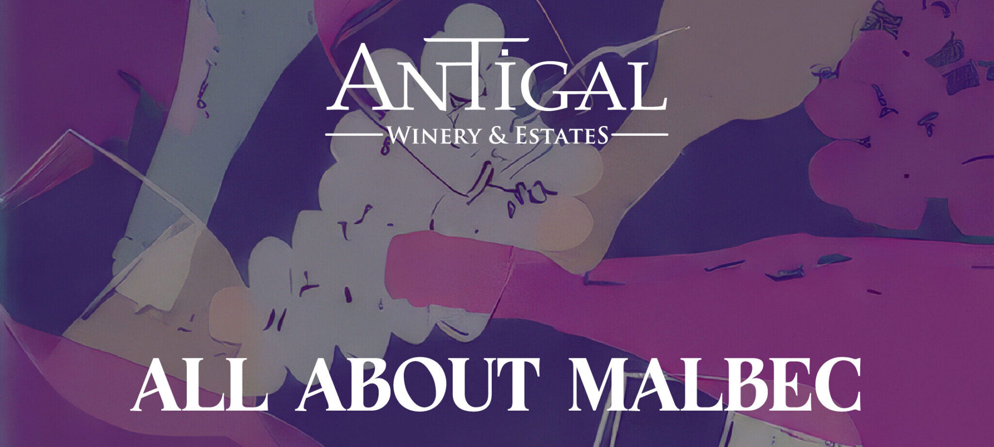 All about Malbec en Antigal
