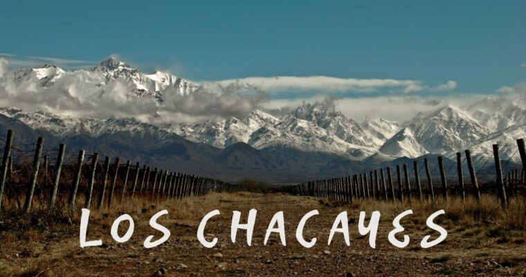 Los Chacayes, el terroir especiado del Valle de Uco