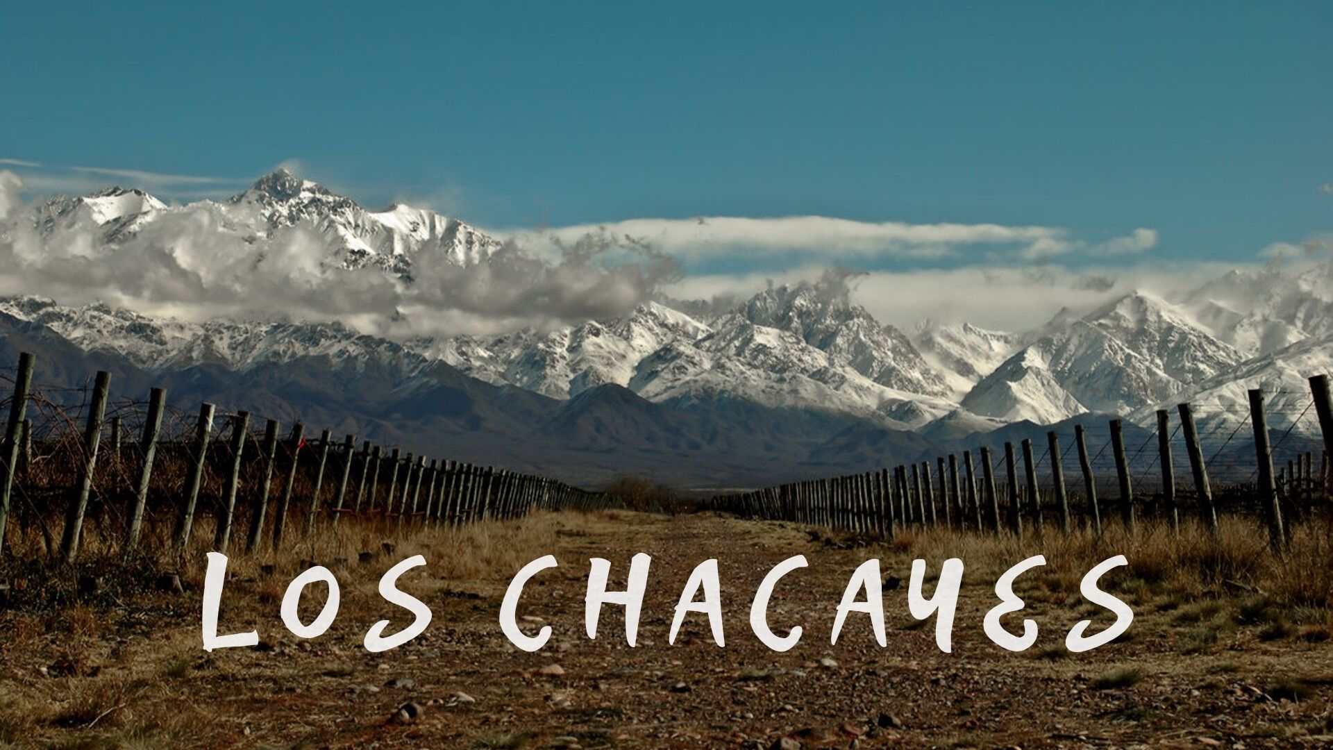 Los Chacayes, el terroir especiado del Valle de Uco