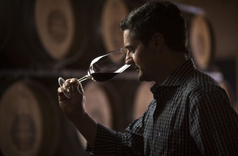 DAVID BONOMI: “PARA PODER HACER UN GRAN VINO, ANTES HAY QUE PROBAR GRANDES VINOS”