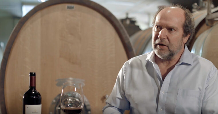 DANIEL PI: «En los próximos años, la industria del vino buscará hacer portfolios premium»