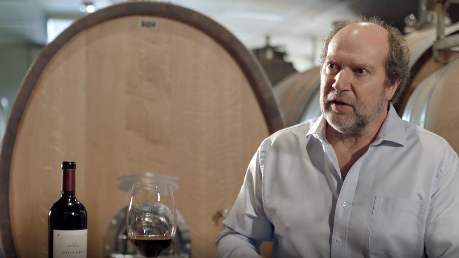 DANIEL PI: «En los próximos años, la industria del vino buscará hacer portfolios premium»