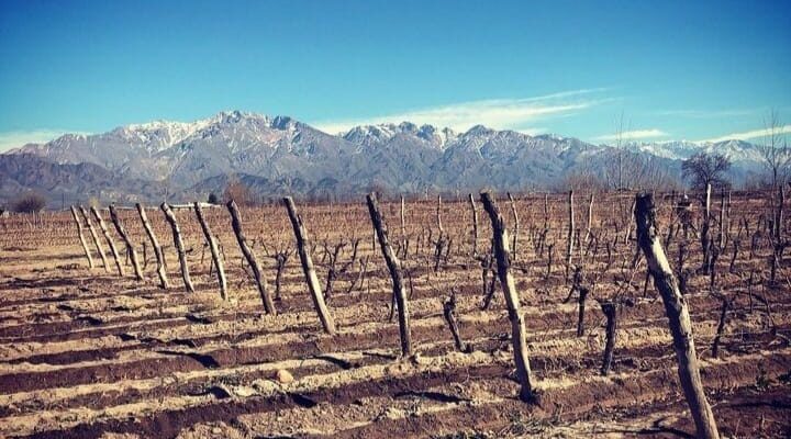 PAMPA EL CEPILLO, LA “HELADERA” DEL VALLE DE UCO