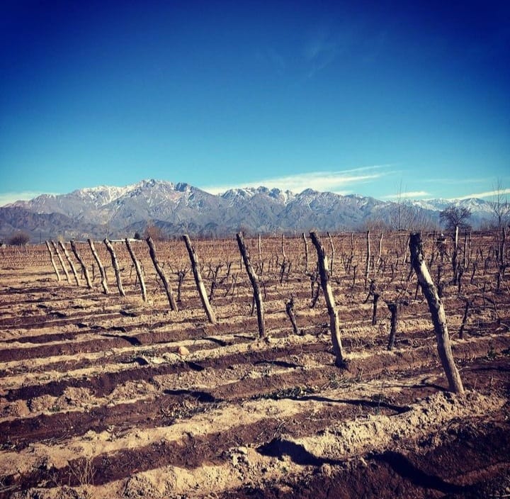 PAMPA EL CEPILLO, LA “HELADERA” DEL VALLE DE UCO