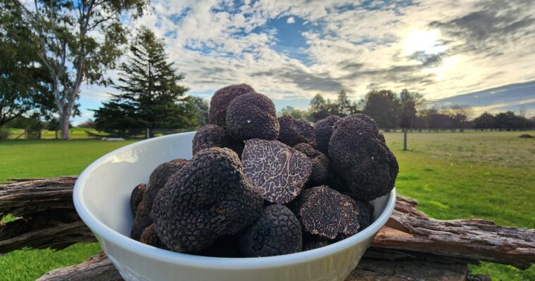 TRUFAS EN ARGENTINA
