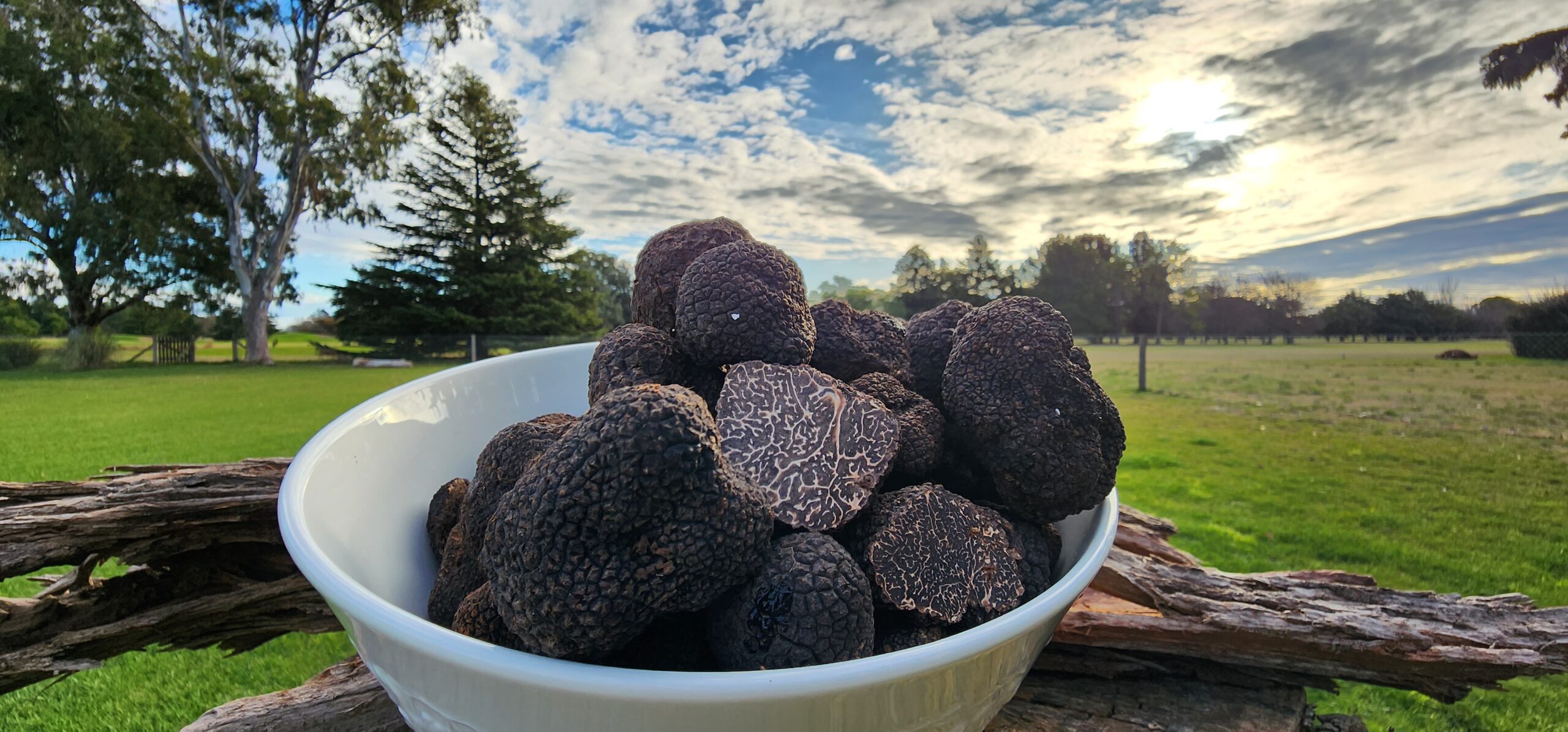 TRUFAS EN ARGENTINA