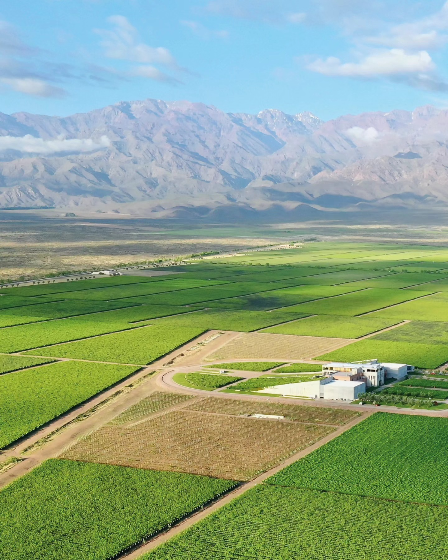 VISTA FLORES, EL CORAZÓN PRODUCTIVO DE VALLE DE UCO