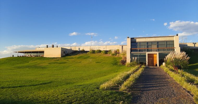 Bodega Malma: sustentabilidad con raíz patagónica